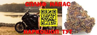 ECSTASY Краснокаменск