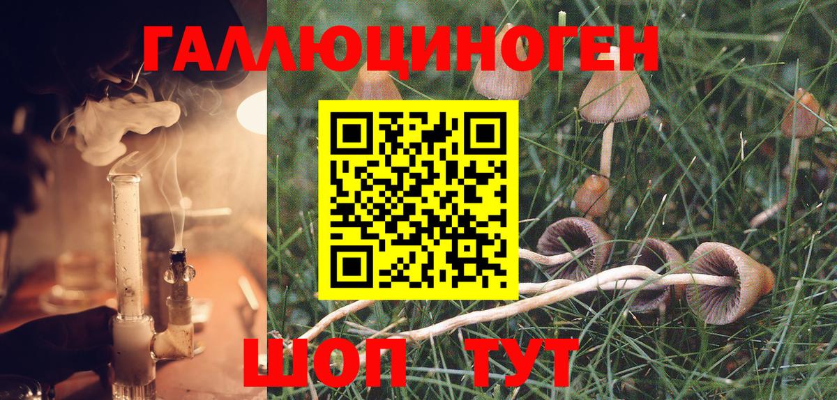 Ишим  Галлюциногенные грибы MAGIC MUSHROOMS  Вход с VPN 