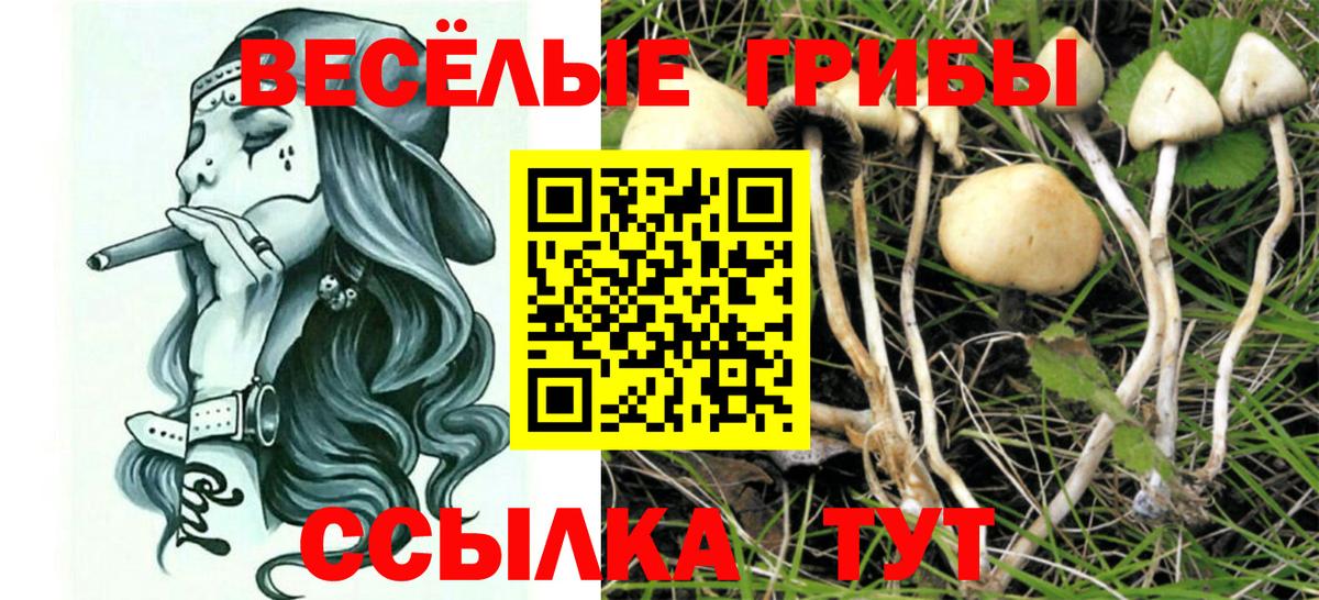 Галлюциногенные грибы прущие грибы Ишим